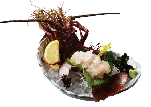 鯛刺身 - 水戸 和食 魚旬 がんこ屋 水戸 和食 ランチ